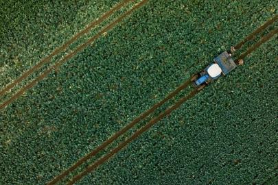 Çiftçilere 255,4 milyon lira tarımsal destekleme ödemesi