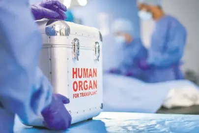 Duyun bu yaşam çığlığını!