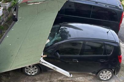 Bodrum’da fırtına etkili oldu ağaçlar devrildi, tekne karaya oturdu (2)