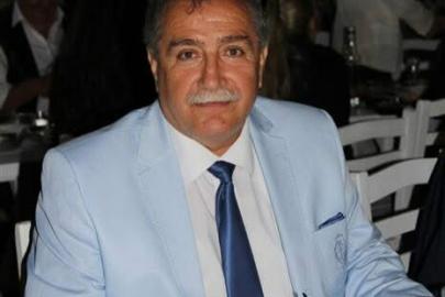 Muğla Valiliği'nden Milas'taki zeytin ağacı kesimine soruşturma