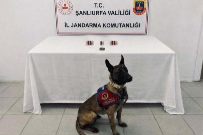 Şanlıurfa’da jandarmadan narkotik uygulamaları: 8 şüpheli hakkında işlem başlatıldı