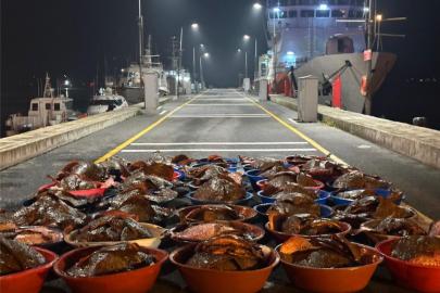 Yapılan denetimlerde yaklaşık 44 ton su ürünü ele geçirildi