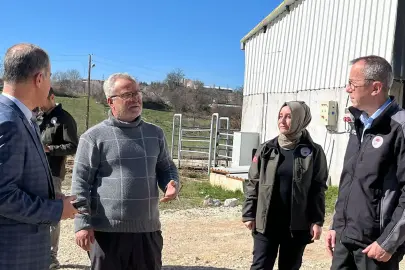 Bilecik Pazaryeri’nde tarım ve hayvancılık faaliyetlerine Müdür Ayvalık'tan yerinde inceleme