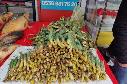 Bingöl’ün dağlarından tezgâhlara: Çiriş otu