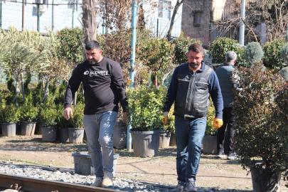 İlkbahar mevsimiyle birlikte meyve fidanı dikim sezonu başladı