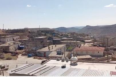 Mardin’de kuduz şüphesiyle bir mahalle karantinaya alındı