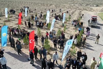 Niğde’de 'Bal Ormanı Projesi' büyüyor