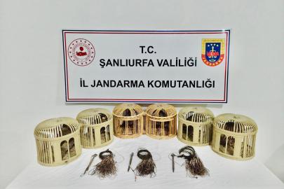 Şanlıurfa'da kaçak keklik avlayan 3 şüpheli yakalandı