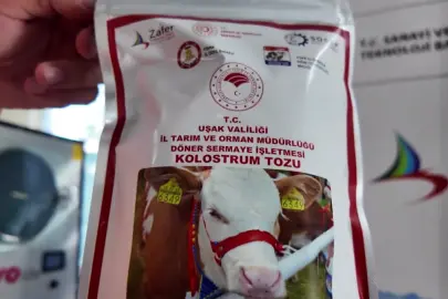 Uşak’ta Türkiye’nin ilk dondurarak kurutma kolostrom tesisi kuruldu... Hayvancılıkta yenilikçi adım hayata geçti