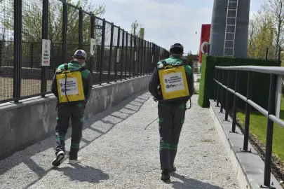 Başkent’te haşereyle etkin mücadele