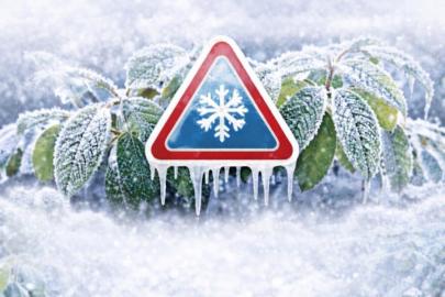 Bursa için 4 günlük zirai don uyarısı