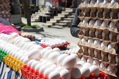 İhracat durdu yumurta fiyatları geriledi