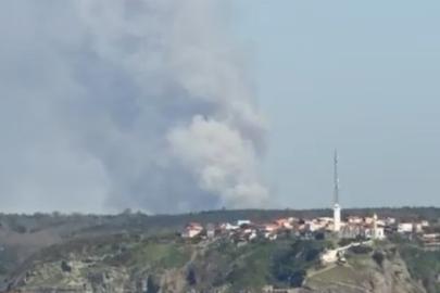 İstanbul’da iki ilçede çıkan orman yangınları kontrol altına alındı