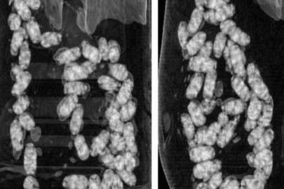 İzmir’de uyuşturucu operasyonu: 2 tutuklama