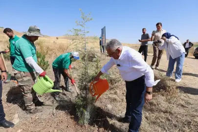 Kayseri Büyükşehir'den kente 'yeşil' atılım