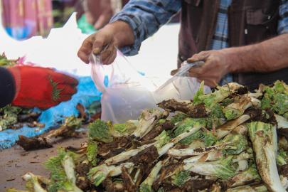 Kenger tezgahlarda: Şifa deposu ama fiyatlar cep yakıyor
