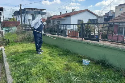 Kocaeli Çayırova’daki parkların duvarlarında bakım çalışması