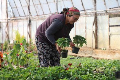 Muğla'da hem tarım hem de kadını destekleye projede 28 milyon çiçek üretildi