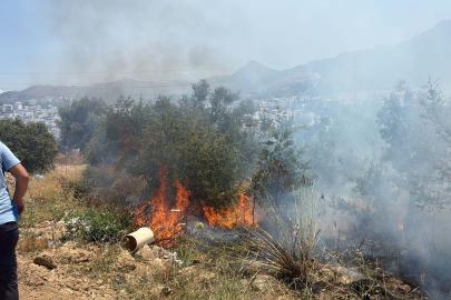 Bodrum’da maki yangınında 1 dekar alan zarar gördü