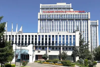 Bazı kamu kurumlarının hizmet kolları yeniden belirlendi