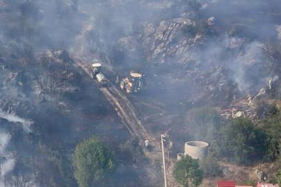 Muğla'da orman yangını (2)