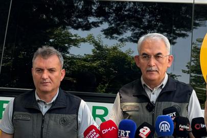 Muğla'daki orman yangını kontrol altına alındı; 350 hektar alan zarar gördü (2)