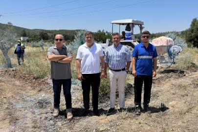 Taşınan zeytin ağaçlarının bakımında yerel istihdam ve tedarik modeli