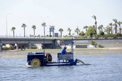 Antalya Boğaçayı’nda doğal yaşam için sucul ot temizliği
