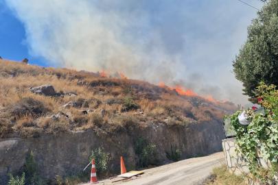 Bodrum'da maki yangını; alevler 1 saatte kontrol altına alındı
