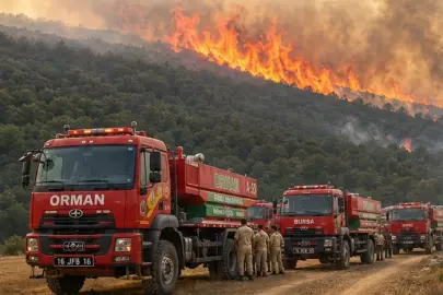 Bursa’da orman yangını! Havadan ve karadan yoğun müdahale