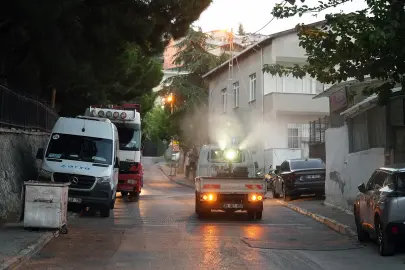 İstanbul Maltepe’de ilaçlama çalışmaları sürüyor