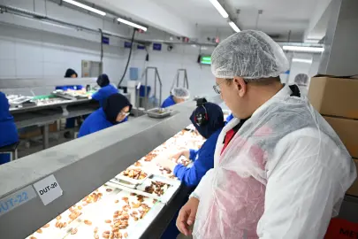 İzmir'de organik tarıma yerinde inceleme