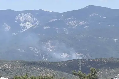 Kazdağı Milli Parkı'ndaki orman yangını kontrol altında