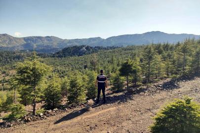 Muğla Valiliği'nden yangın uyarısı