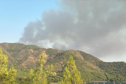 Muğla'nın Marmaris ilçesinde çıkan orman yangınına müdahale ediliyor.