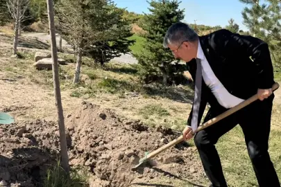 AK Partili Şaban Çopurluoğlu Kayseri Talas'ta fidan dikti