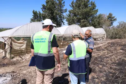 Antalya'da Büyükşehir ekipleri yangının izlerini silmek için sahada
