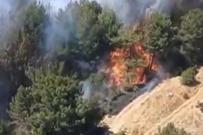 Balıkesir'de orman yangını. Ekipler müdahale ediyor