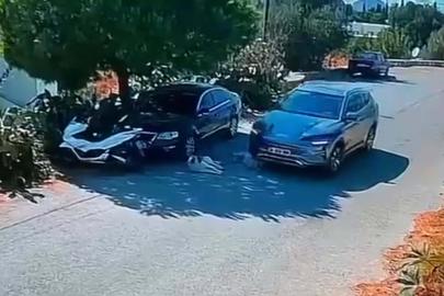 Bodrum'da otomobil, iki köpeğin üzerinden geçti; o anlar kamerada