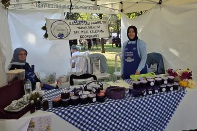 Candarlı kadınlarından Bursa Gastronomi Festivali’nde yaban mersini rüzgârı
