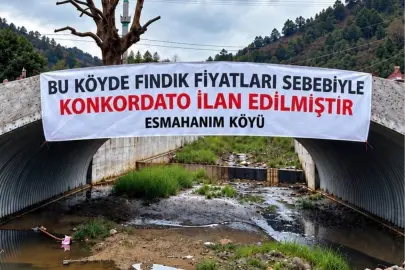 Düzce Akçakoca’da üreticinin fındık fiyatı tepkisi
