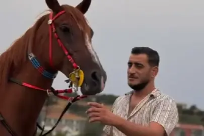 Edirne İpsala’da Arap atı sevgisini yaşatıyor