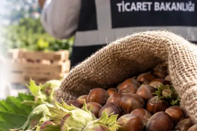 Fındık piyasasında mercek büyütüldü! Ordu ve Giresun’da müfettişler sahada