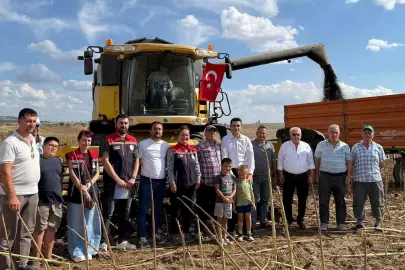 İpsala’da ayçiçeği hasadı heyecanı