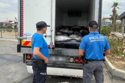 İzmir’de iki araçta kaçak avlanan 3 ton orkinos ele geçirildi