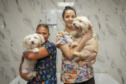 Mersin'de patili dostlar için anlamlı iş birliği