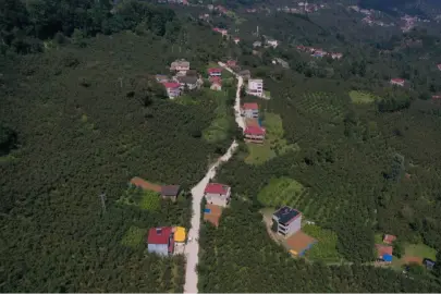 Ordu Aybastı’da ulaşım konforu artıyor